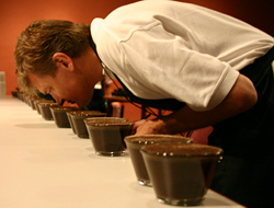 taste_01.jpg